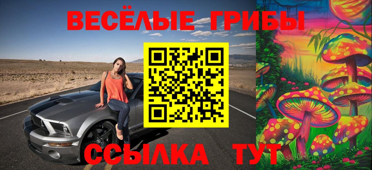 Галлюциногенные грибы MAGIC MUSHROOMS  Псилоцибиновые грибы Magic Shrooms  Лыткарино  Вход с VPN 