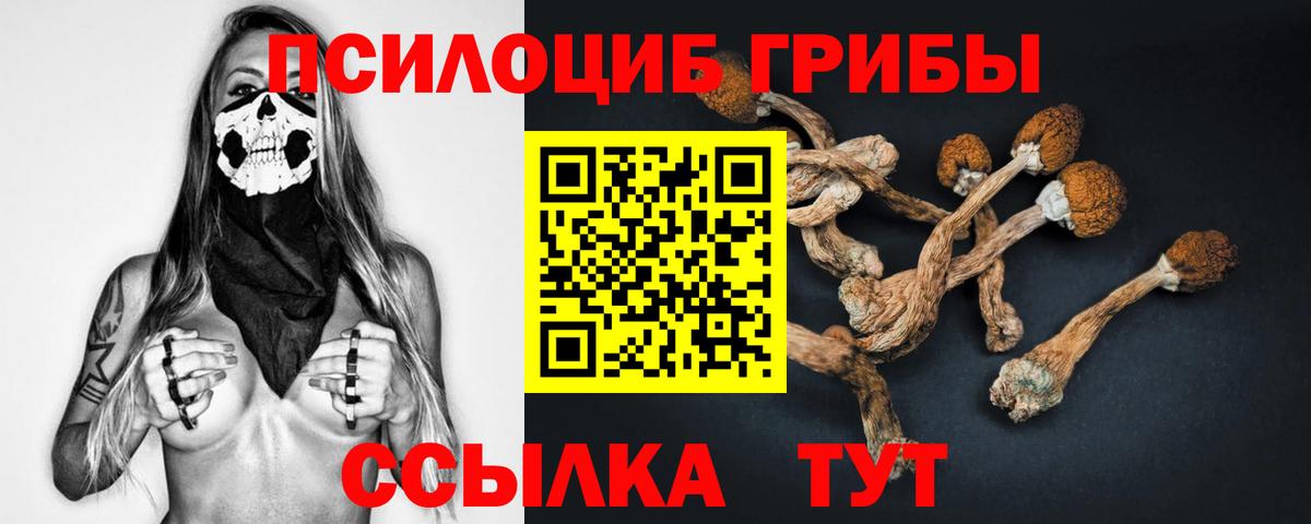 Галлюциногенные грибы мицелий Лыткарино